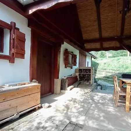 Nature Apartment